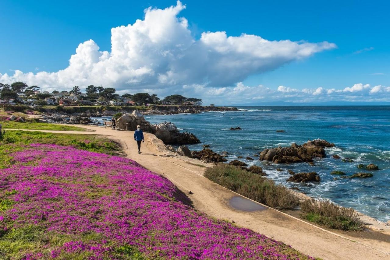 3794 Forever Views II Home Carmel-by-the-Sea Exterior photo